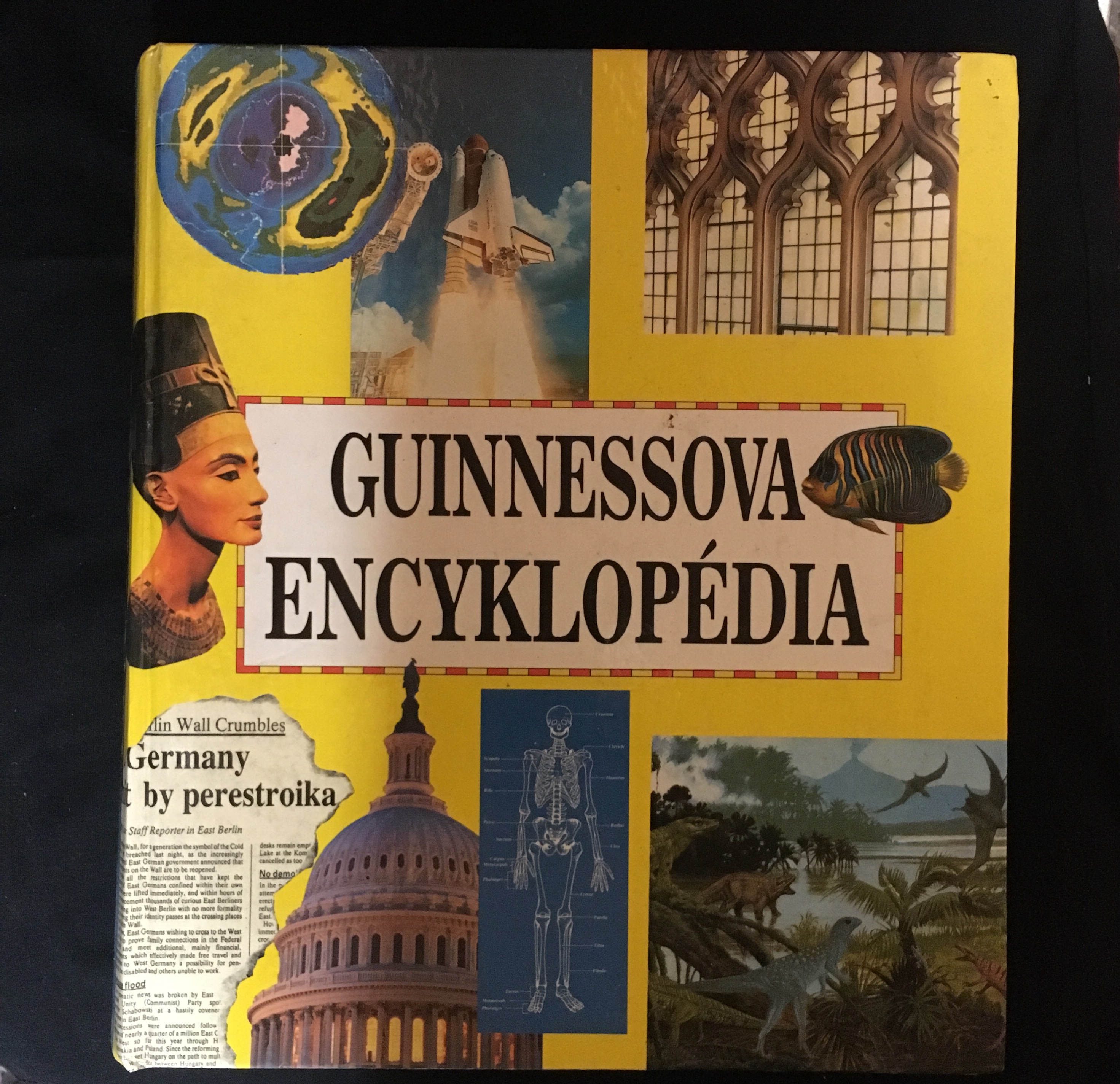 Guinnessova encyklopédia