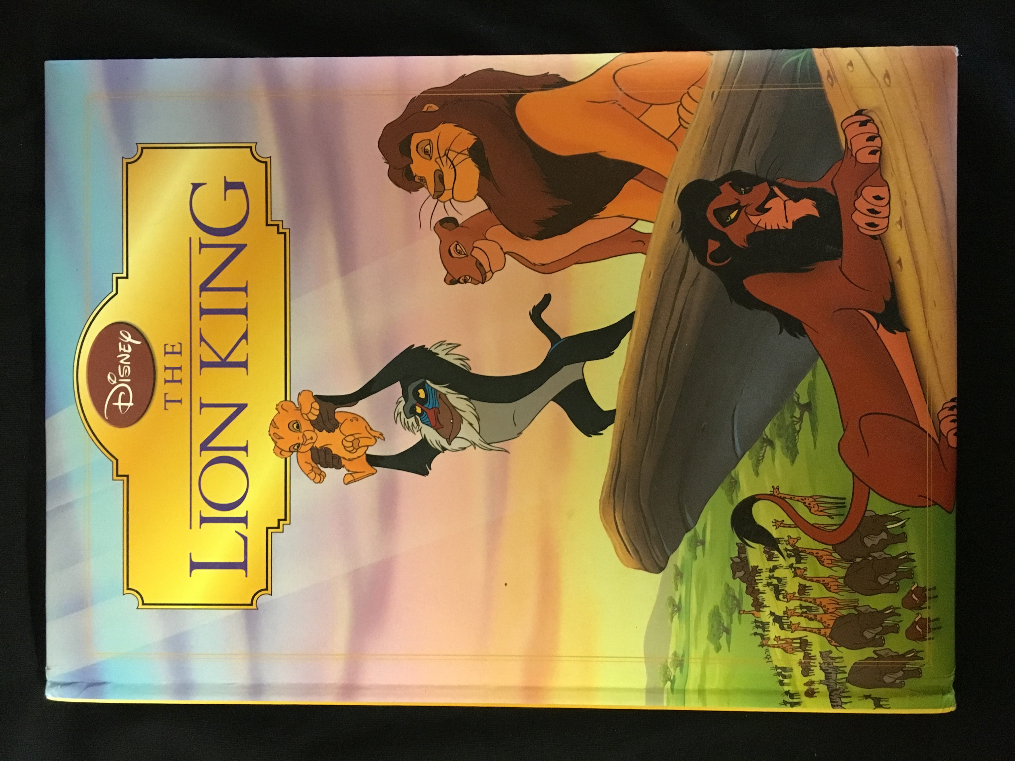 Disney-The Lion king(aj)