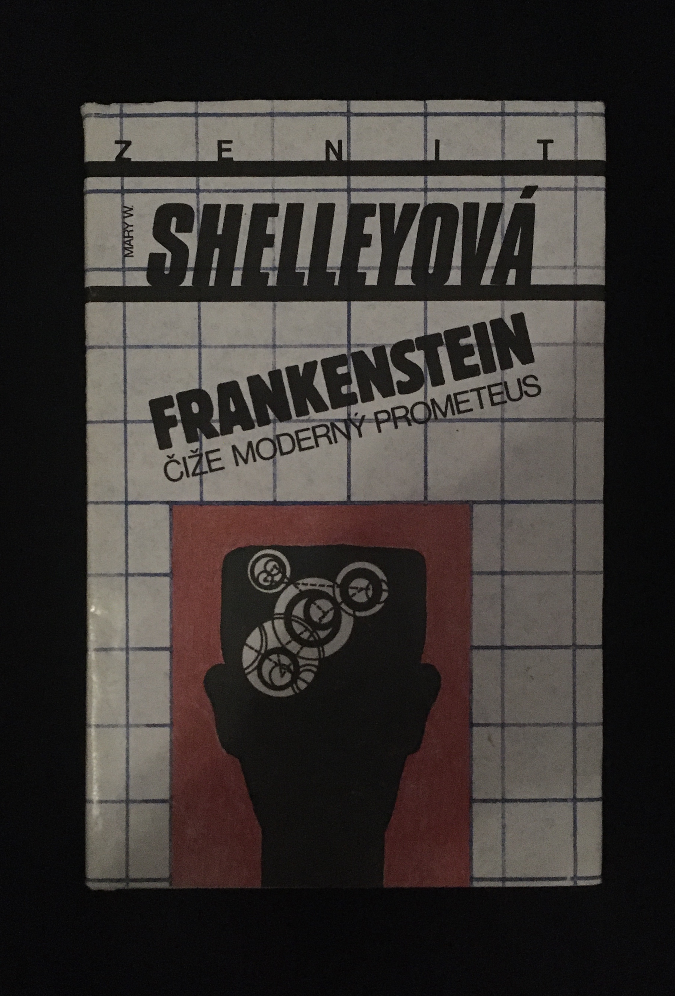 Mary W. Shelleyová - Frankenstein (čiže moderný prometeus)