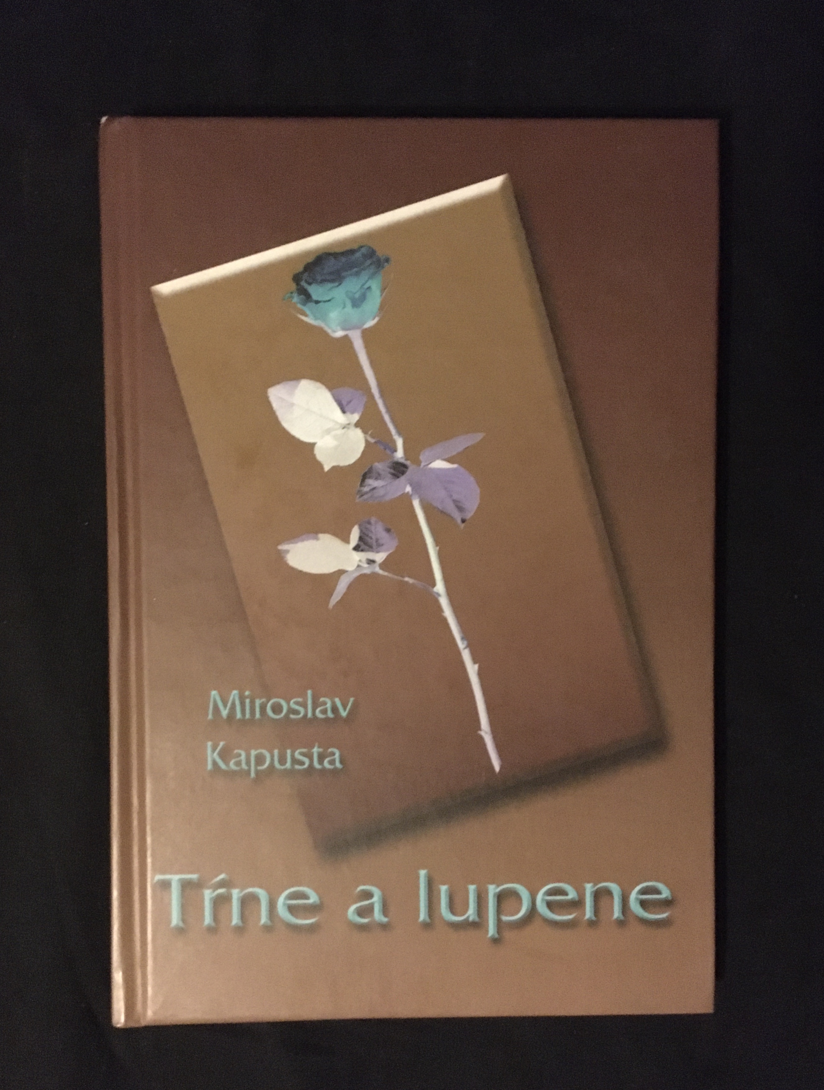 Miroslav Kapusta - Tŕne a lupene