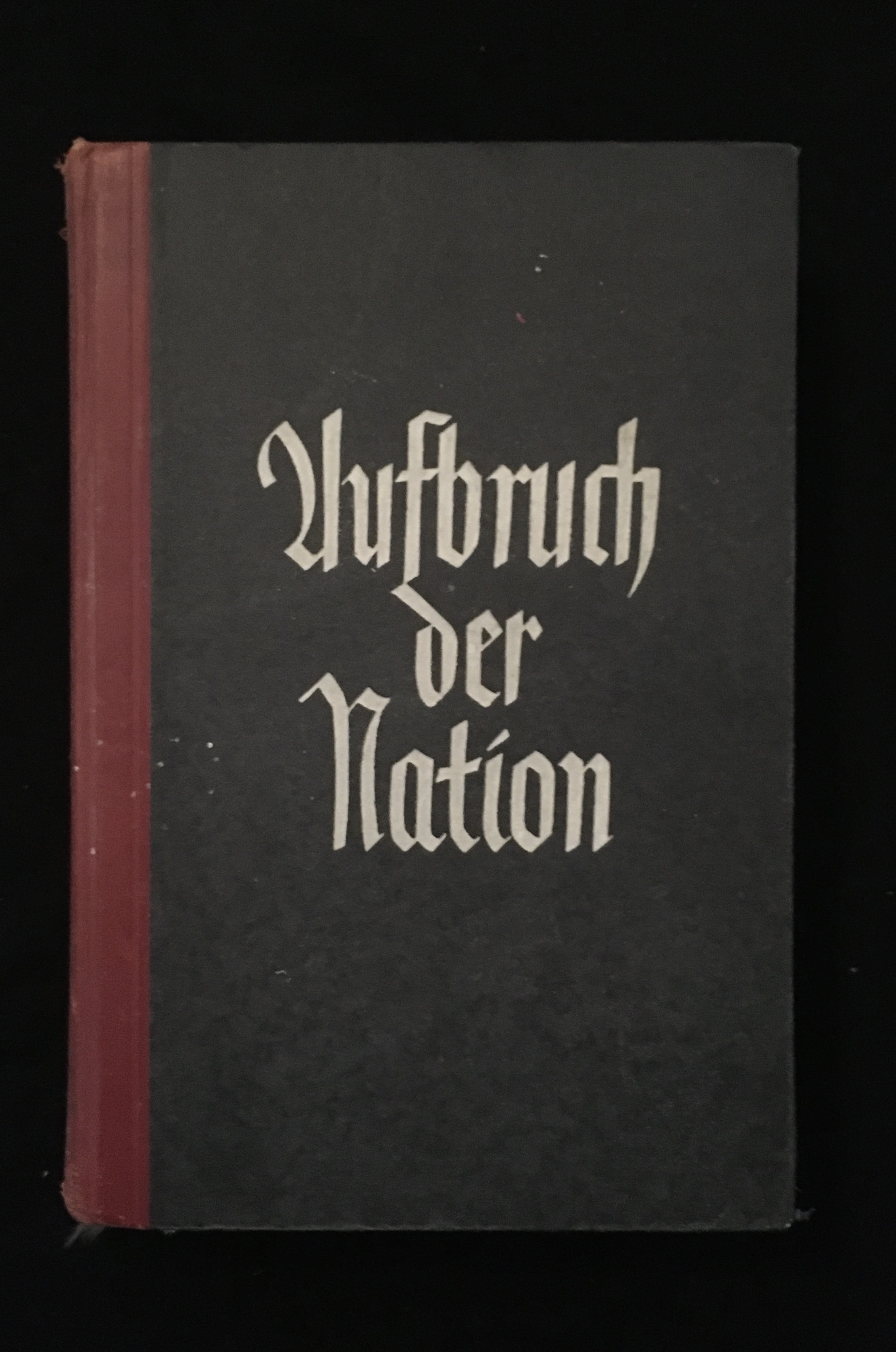Schauwecker Franz -Aufbruch der Nation