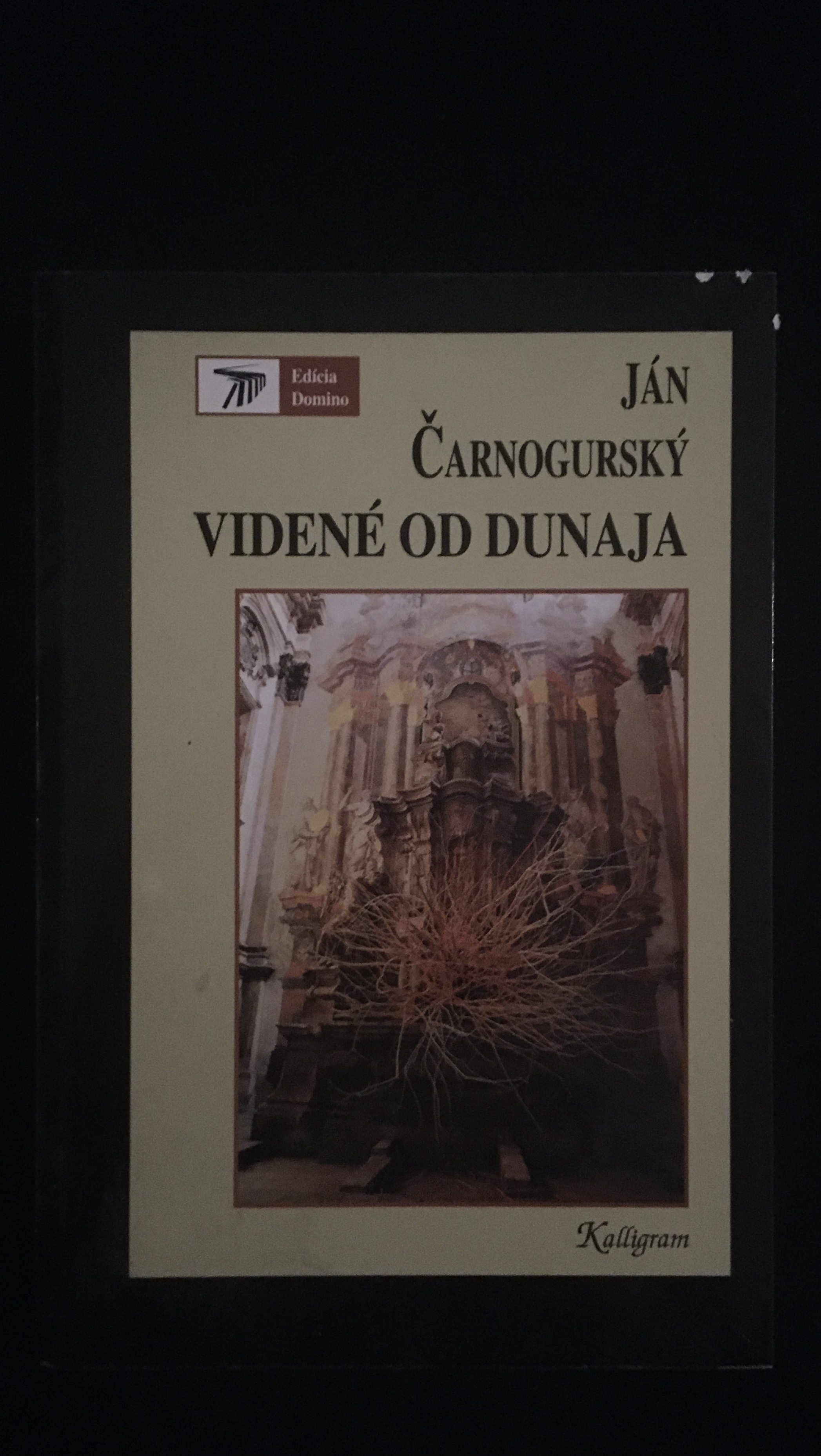 Ján Čarnogurský- Videné od Dunaja