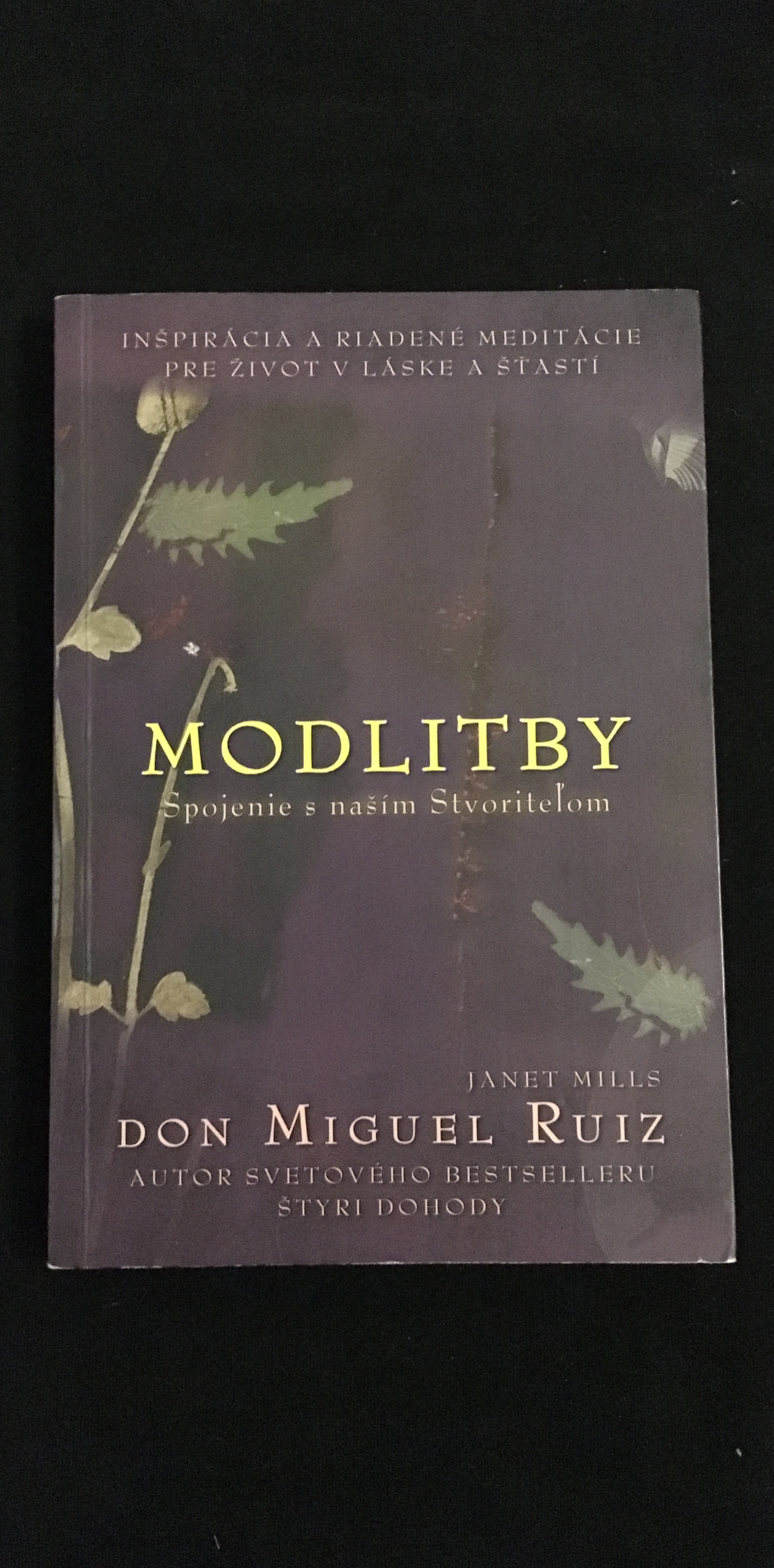 Don Miguel Ruiz-Modlitby