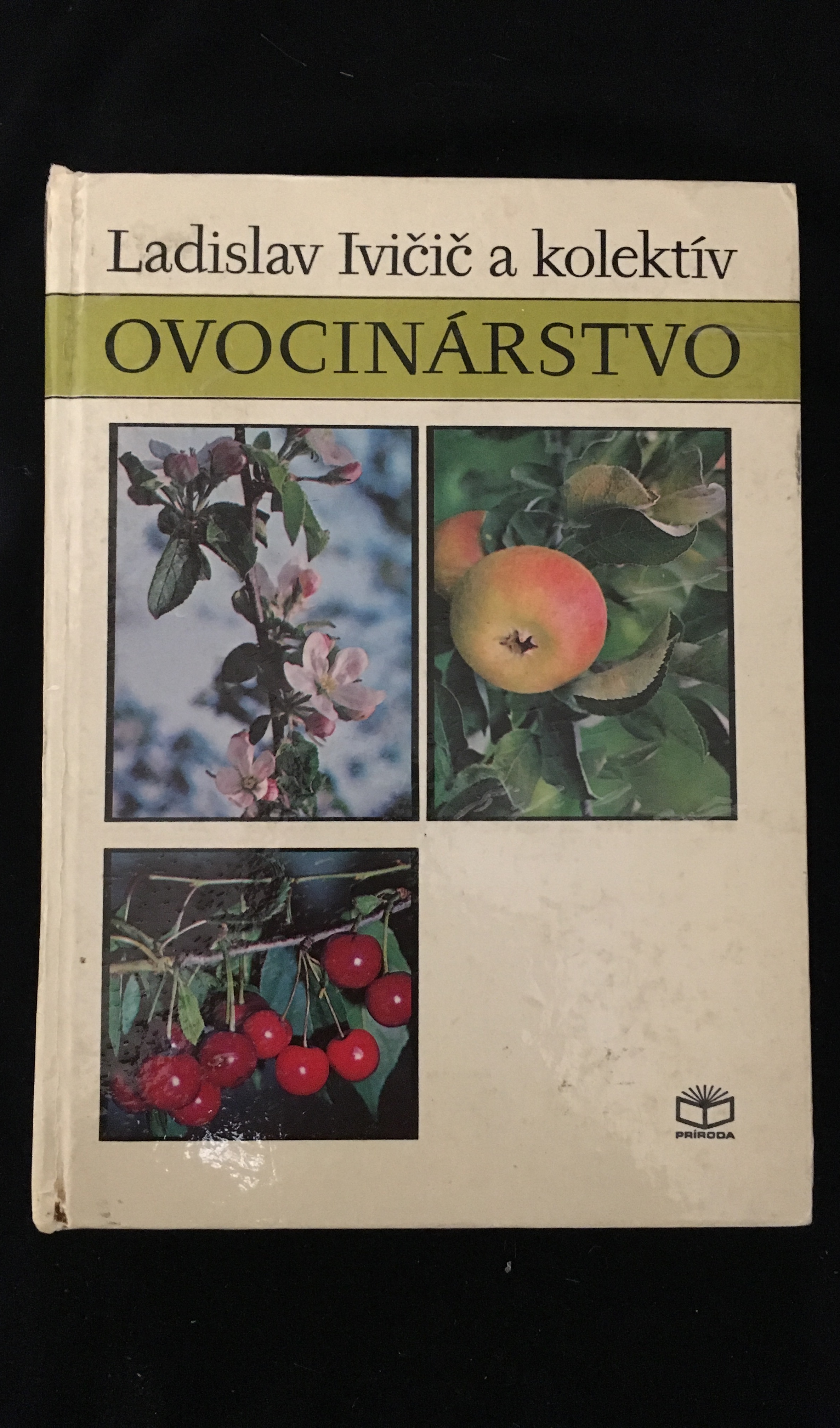 Ovocinárstvo (horší stav) 