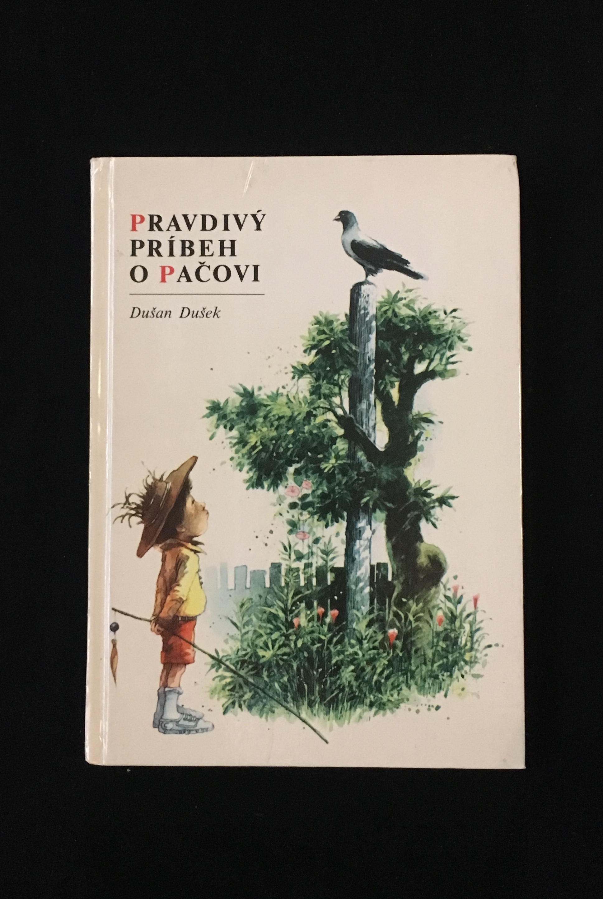 Dušan Dušek-Pravdivý príbeh o Pačovi