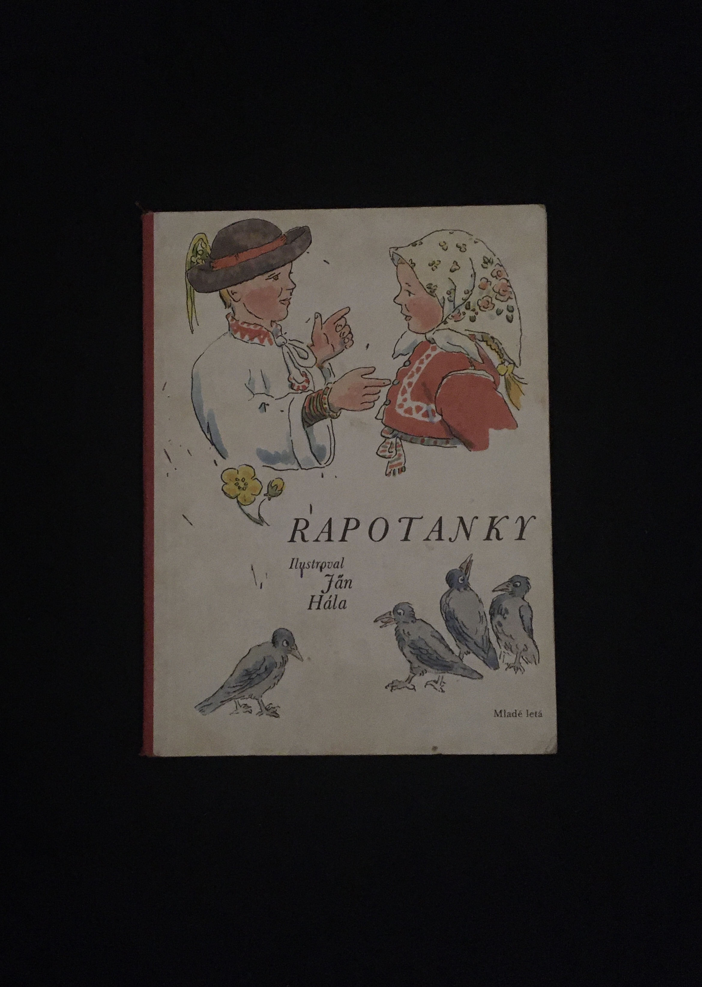Rapotanky