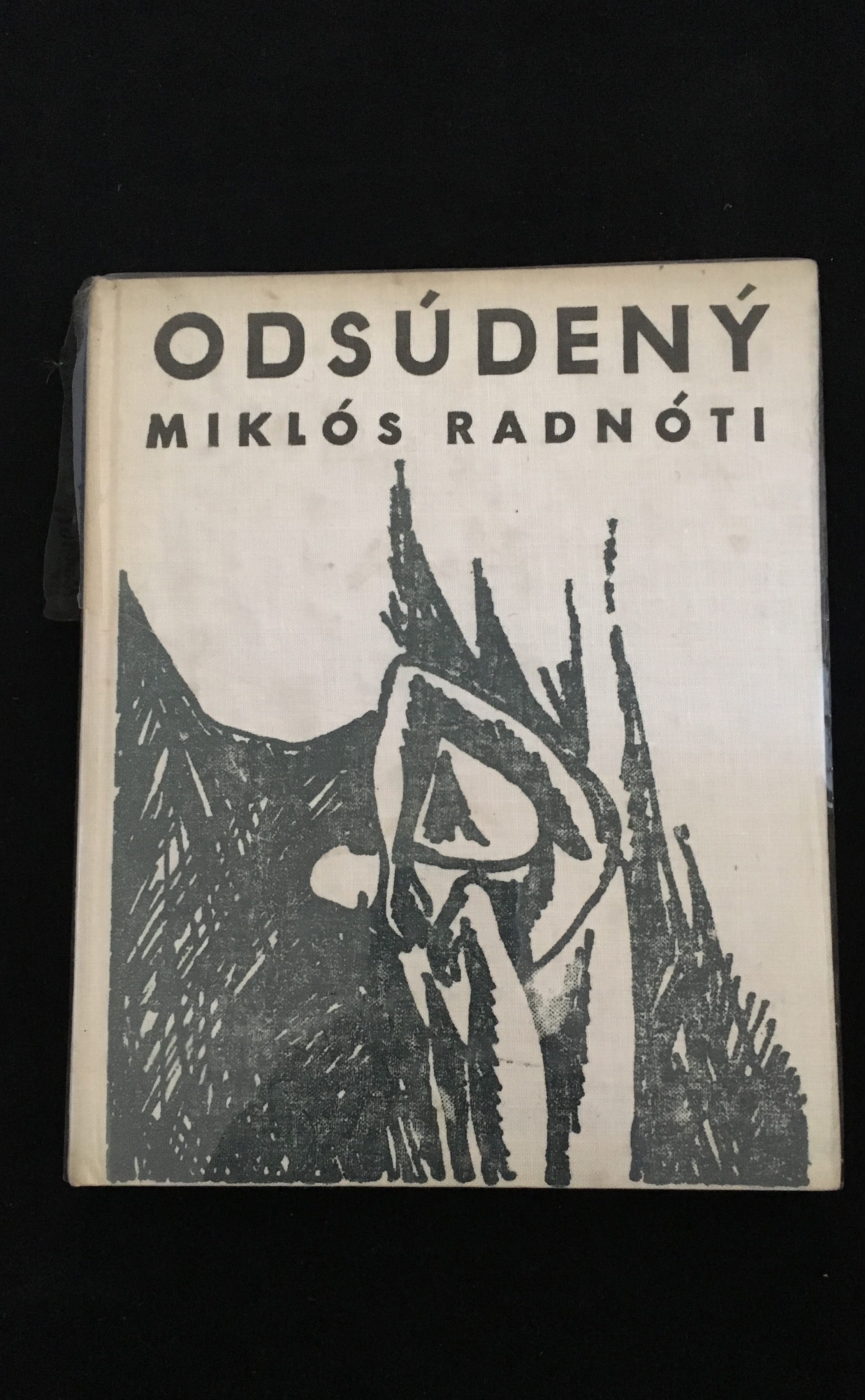 Miklós Radnóti-Odsúdený