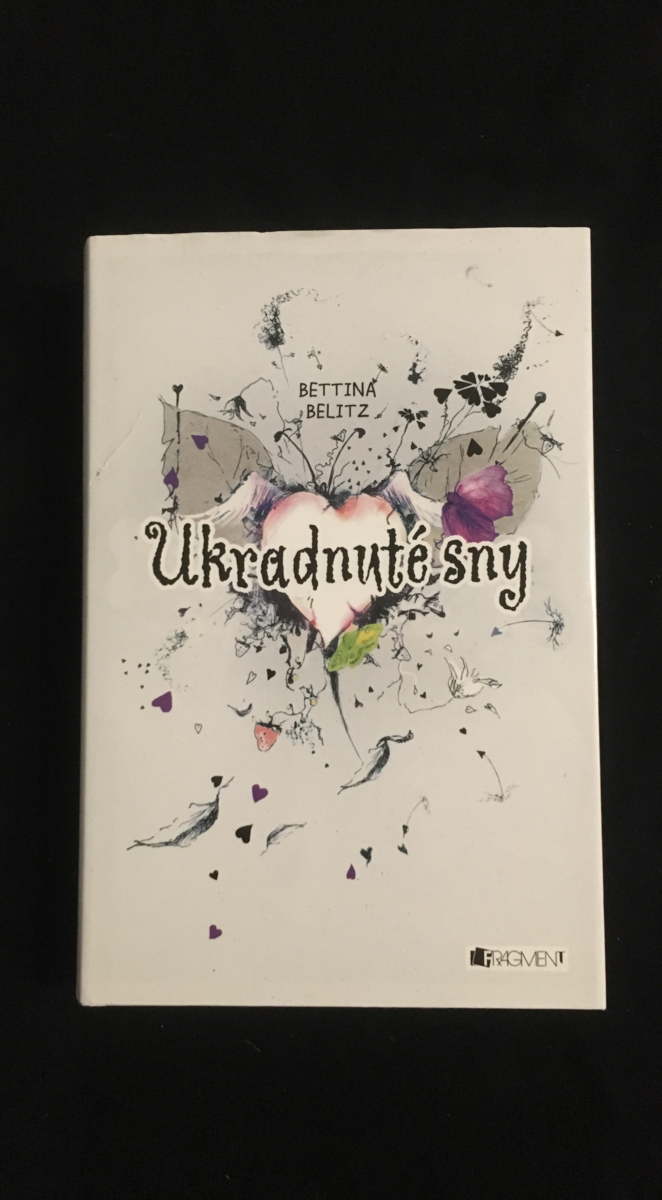 Bettina Belitz-Ukradnuté sny 