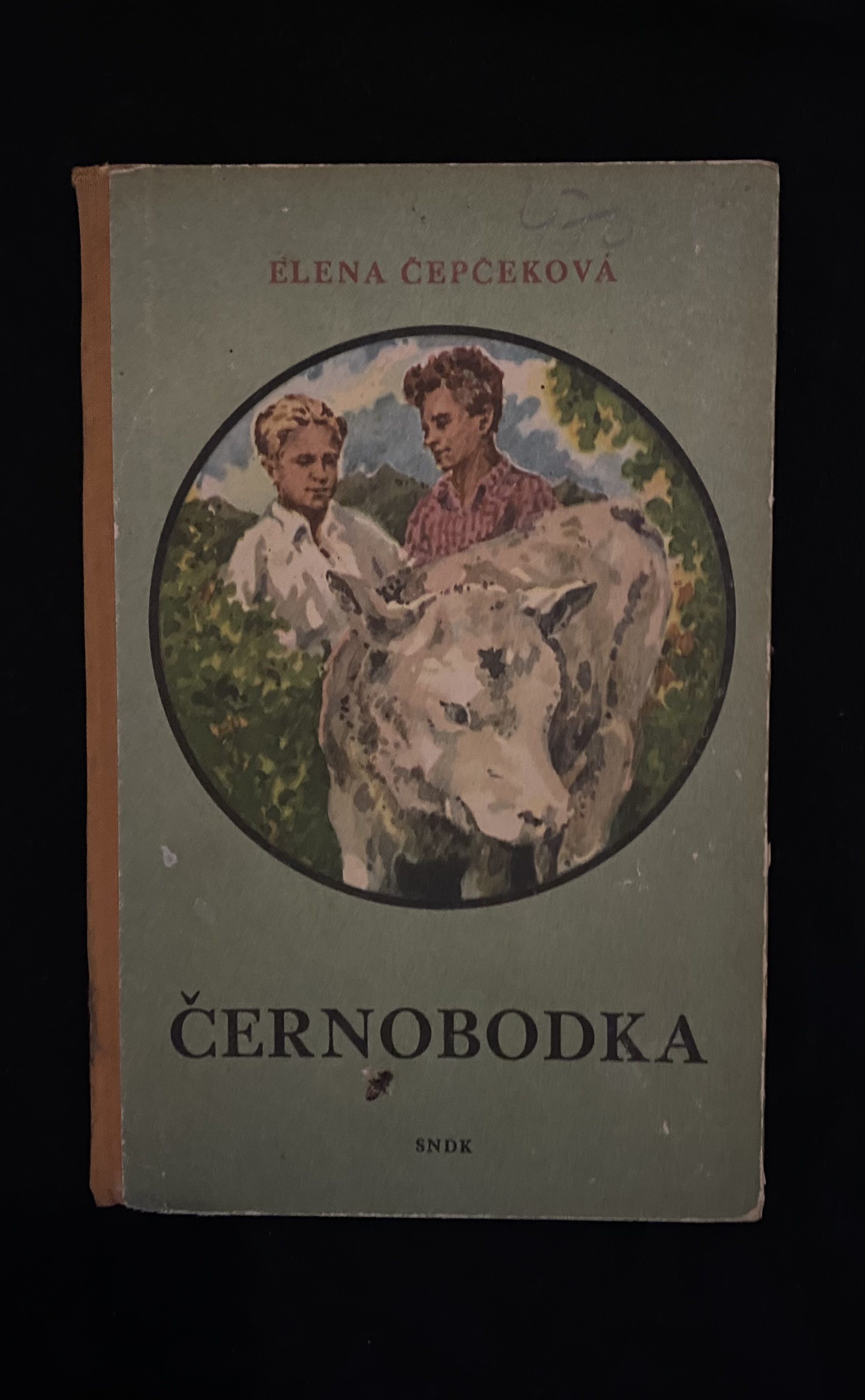 Elena Čepčeková -Černobodka